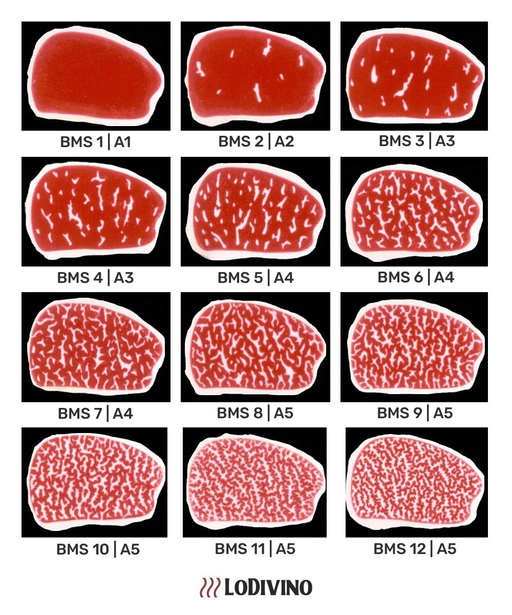 Classificação de Qualidade de Carnes por Grau de Marmoreio